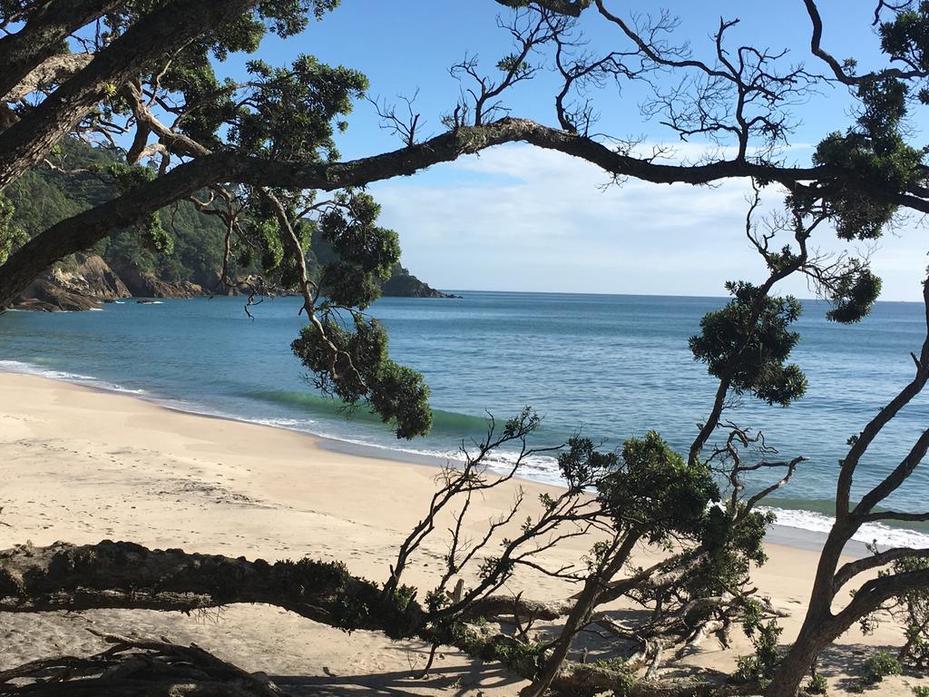 Birds Eye View Bed And Breakfast Waihi Εξωτερικό φωτογραφία